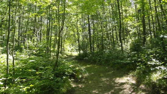 Mid has an extensive walking, running, and biking trail system on the Harrison Campus.
