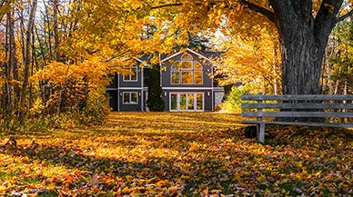 House in the fall. 