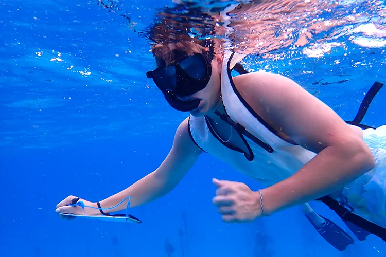 Mid student snorkeling in the florida keys