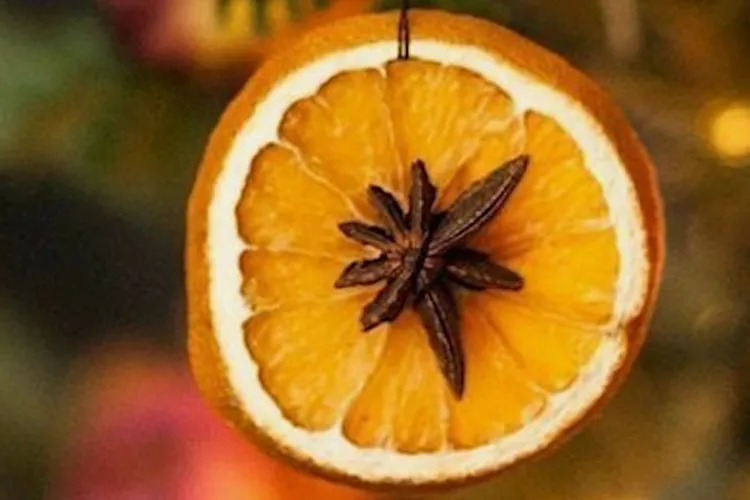 Citrus Decor