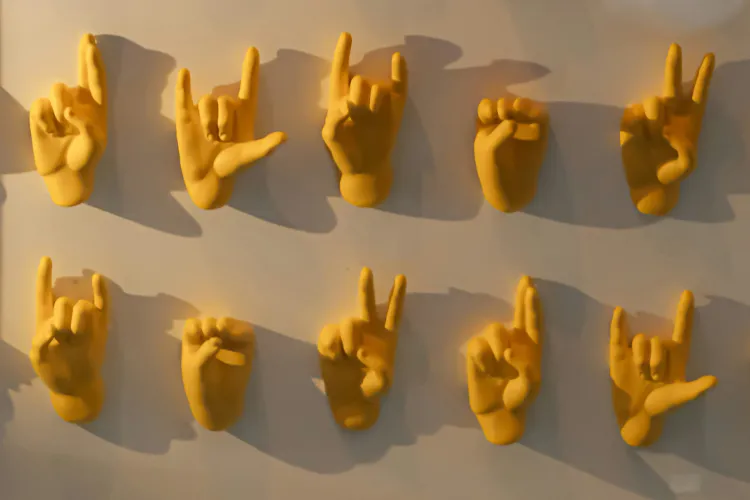 Hands forming American Sign Language alphabet.