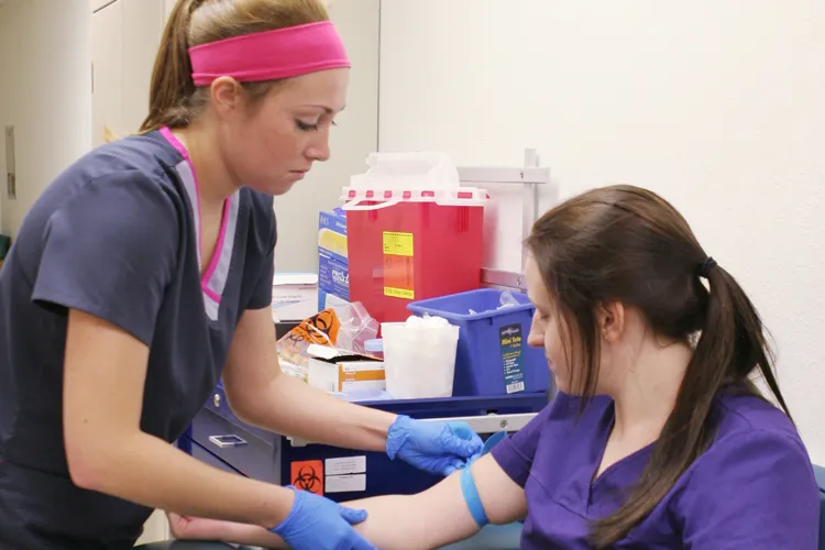 Phlebotomy trainees practice sample collection.