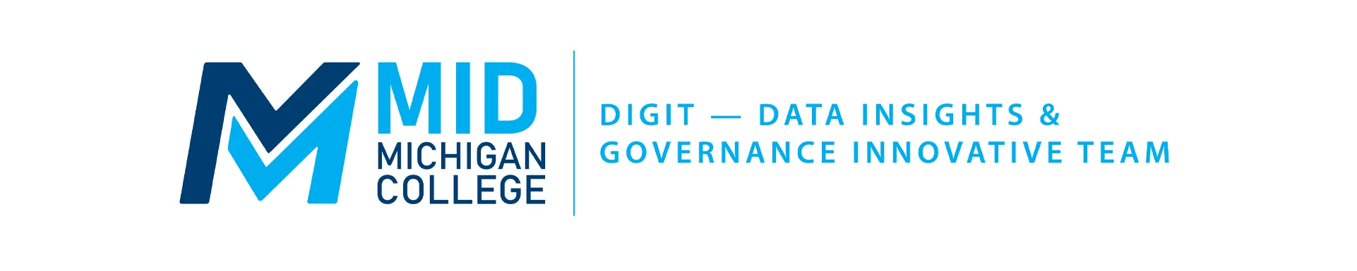 DIGIT Data Insights Governance &amp; Innovative Team