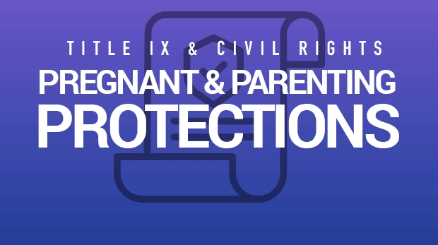 Pregnancy Protections Gridlink graphic