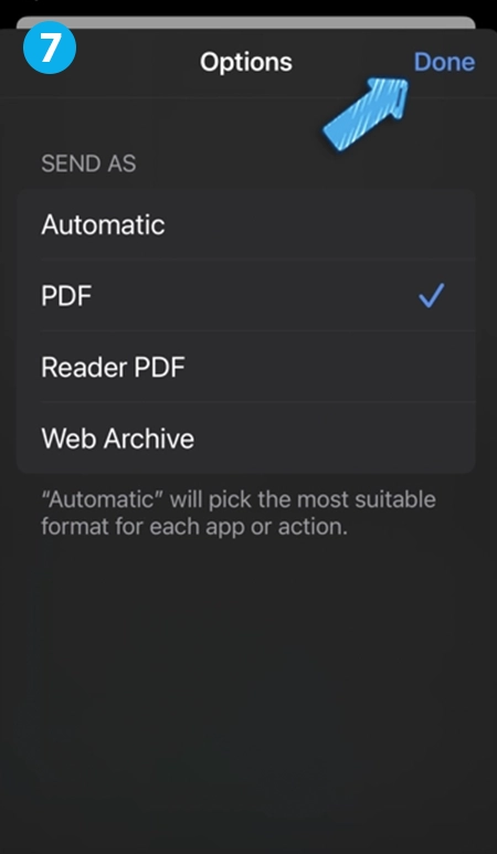 Print Options screenshot