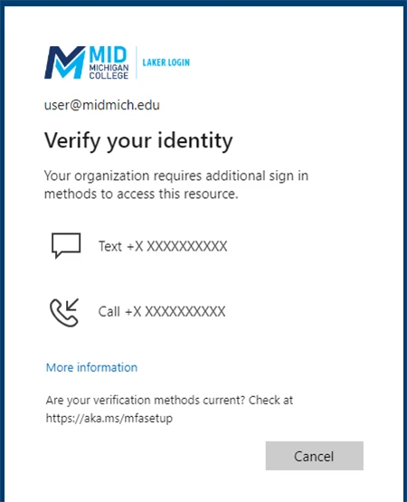Verify identity screen