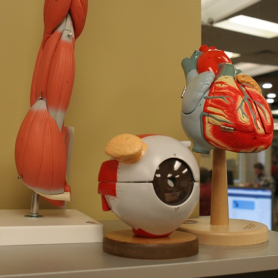 More Science Center Models