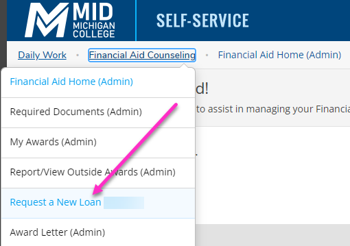 Choose Financial Aid and then click Request a New Loan.