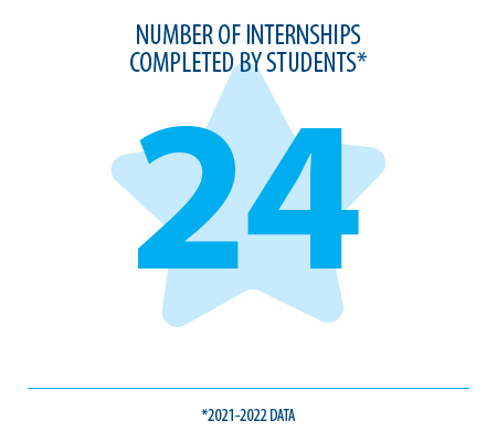 Number of internships completed star icon.